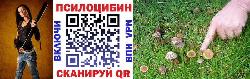 Галлюциногенные грибы прущие грибы  Севск 